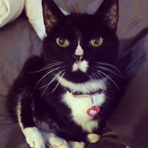 🍬Meet your posher, Eryn 🍬 - Picture 5 of 7